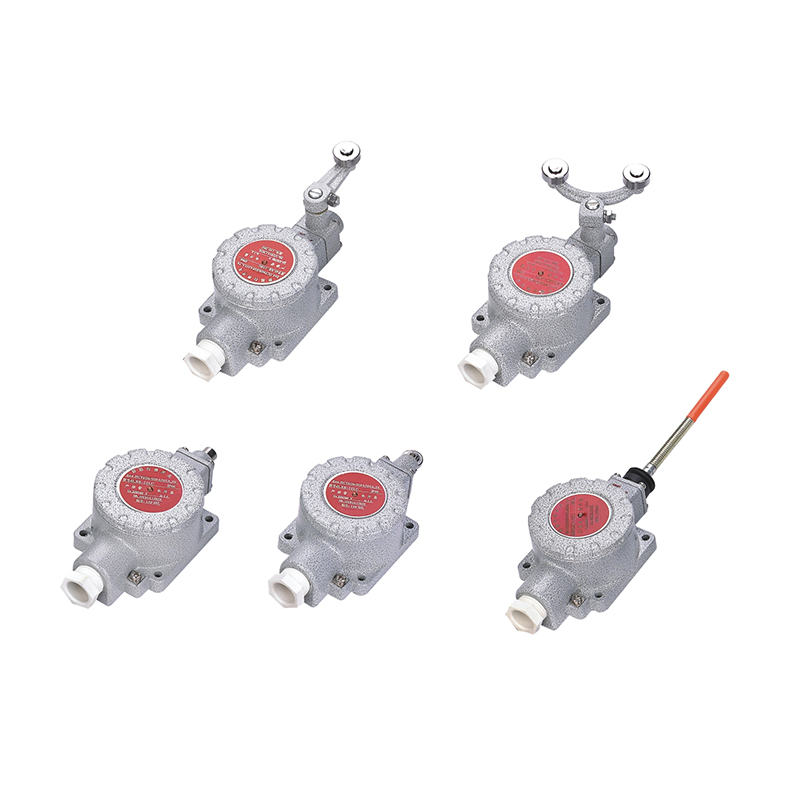 CBXK系列防爆行程開關(guān)（IIB IIC tD）